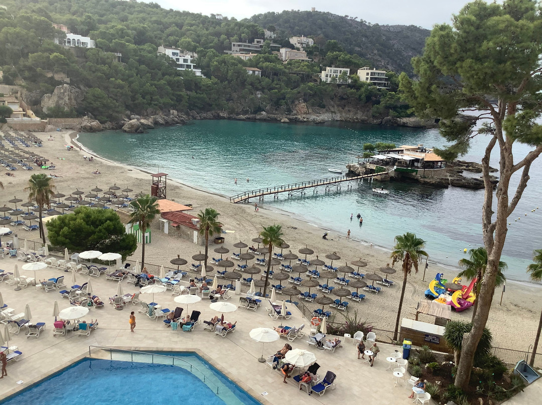 Grupotel Playa Camp de Mar主图