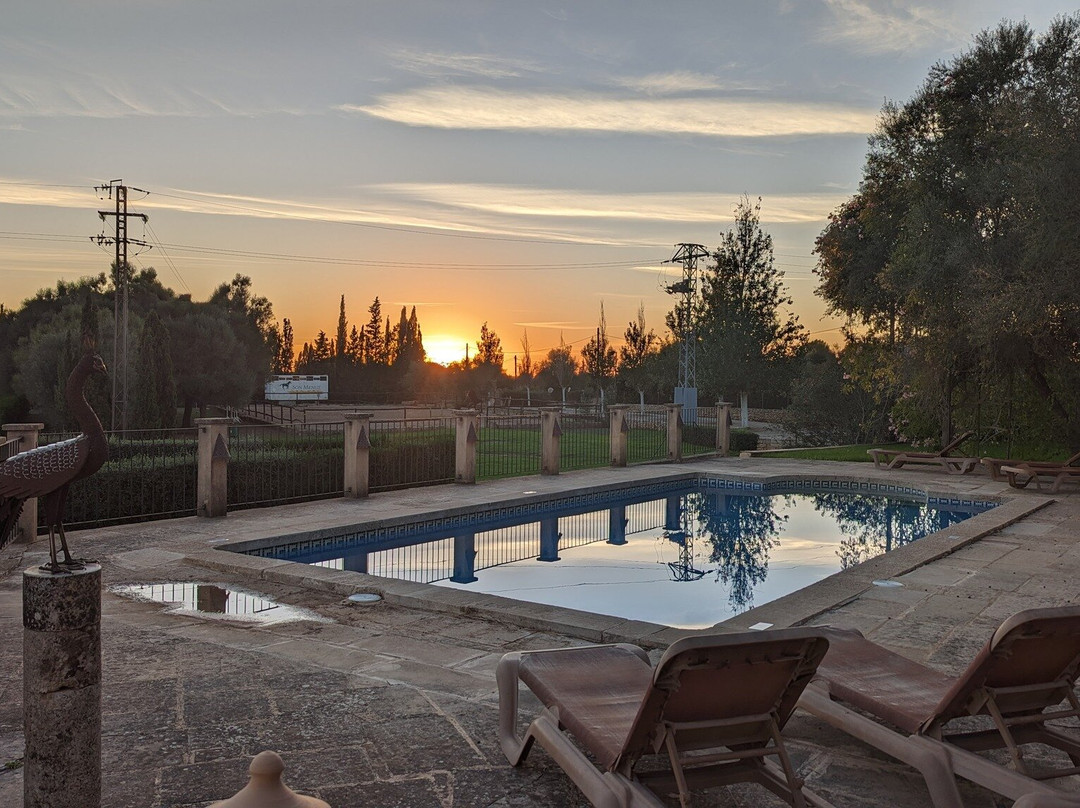 Son Menut Finca主图