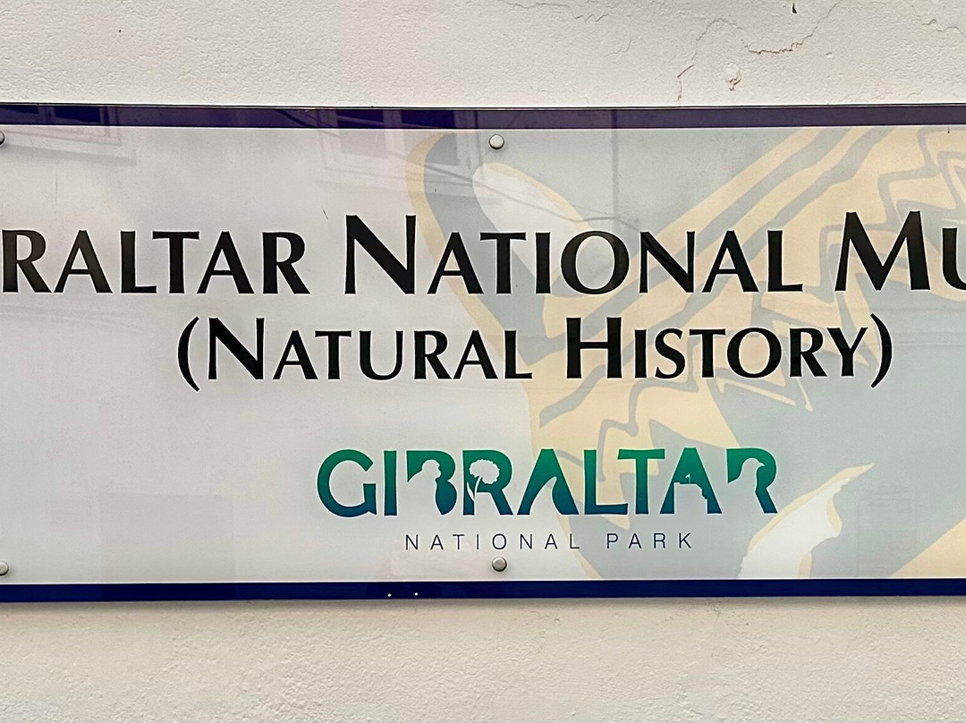The Gibraltar Natural History Museum-Gibraltar Town必去景点