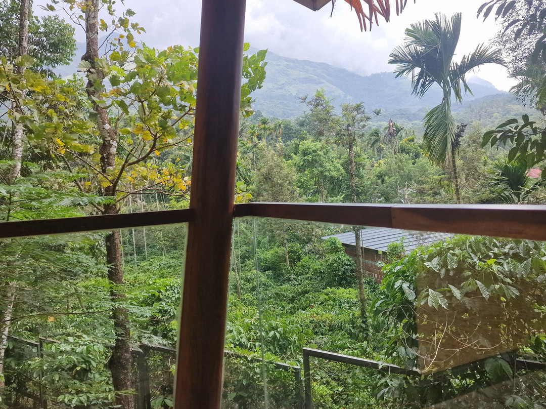 Maple Ash Resort主图