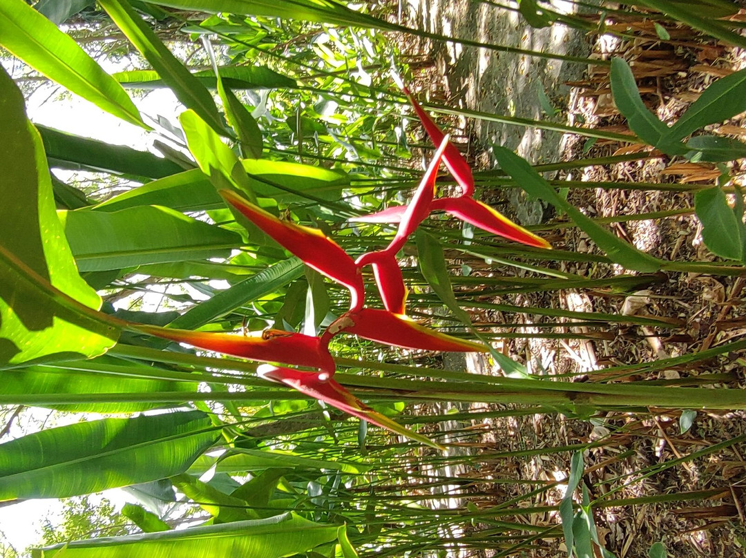 Taino Valley Tropical Park-Tubagua必去景点