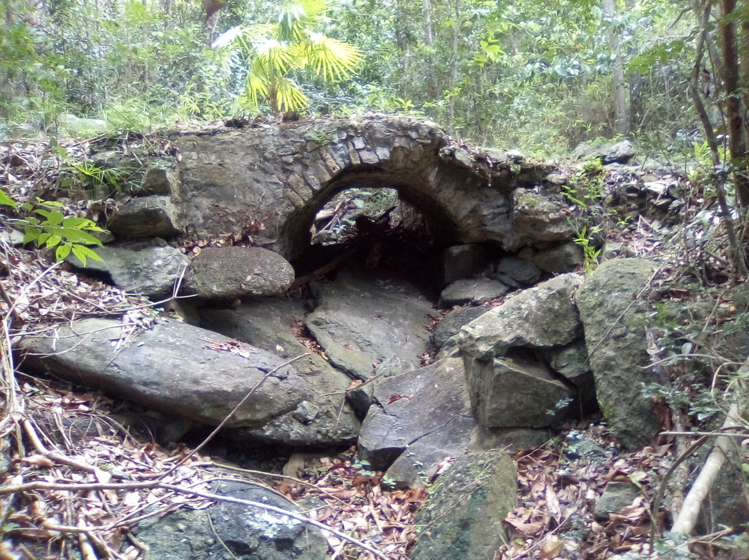 L’Esperance Trail-维尔京群岛国家公园必去景点