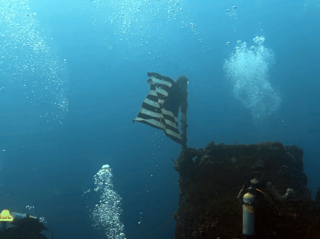 Ohana Dive Co.景点图片