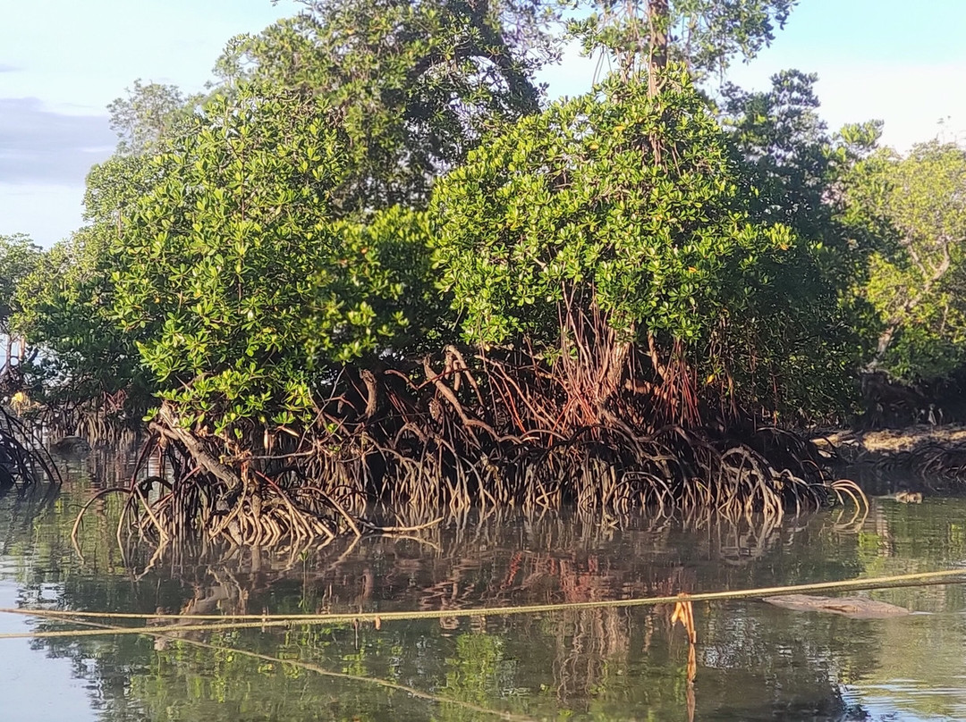 Silver Sand Beach Resort Neil主图