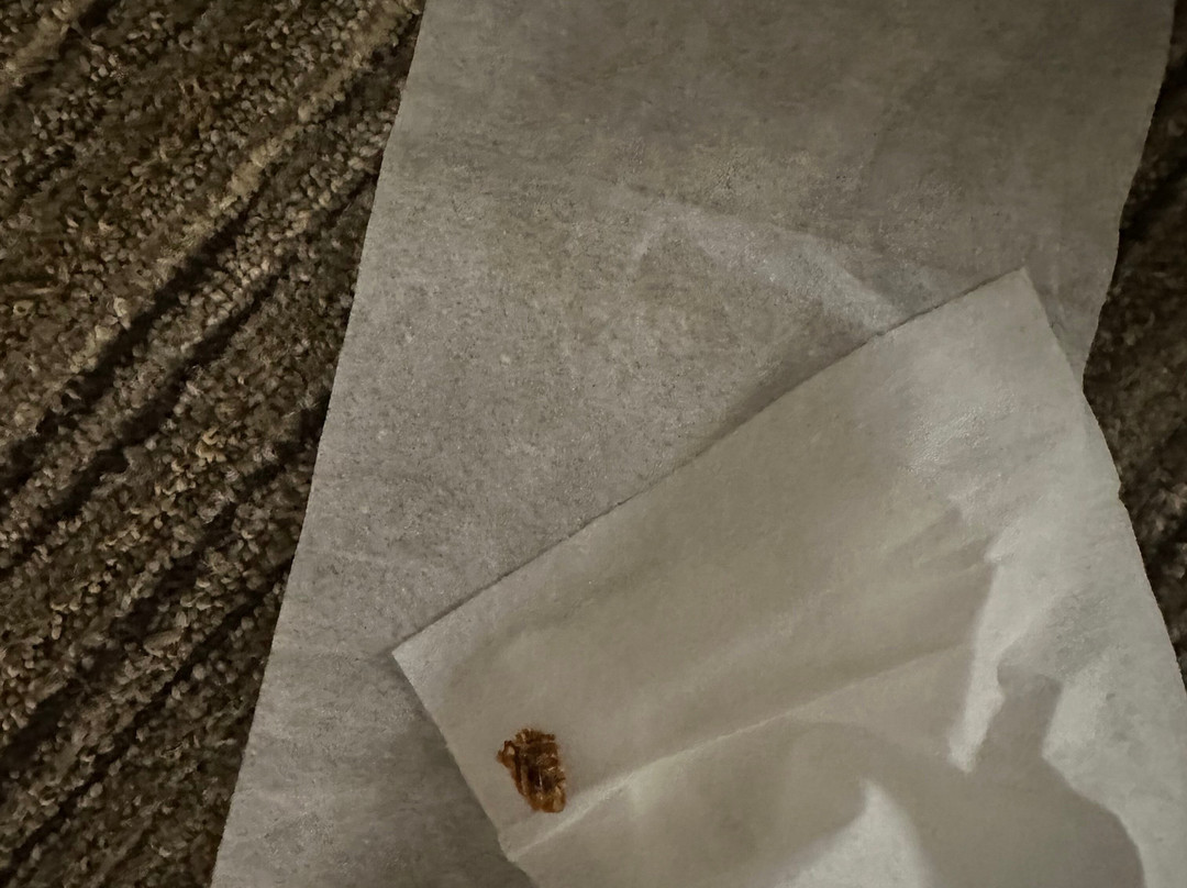 Holiday Inn Express Naperville By IHG主图