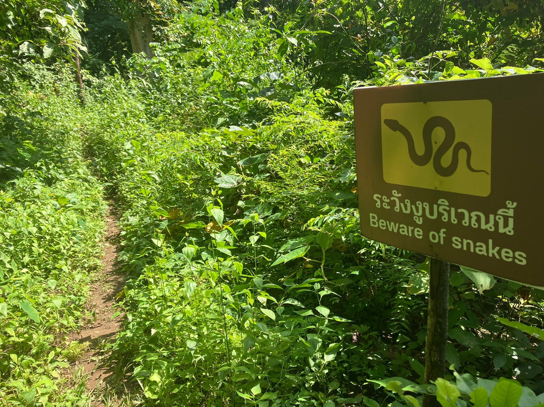 Mae Sakut Nature Trail景点图片