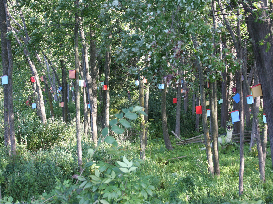 White's Beach-South Hero必去景点