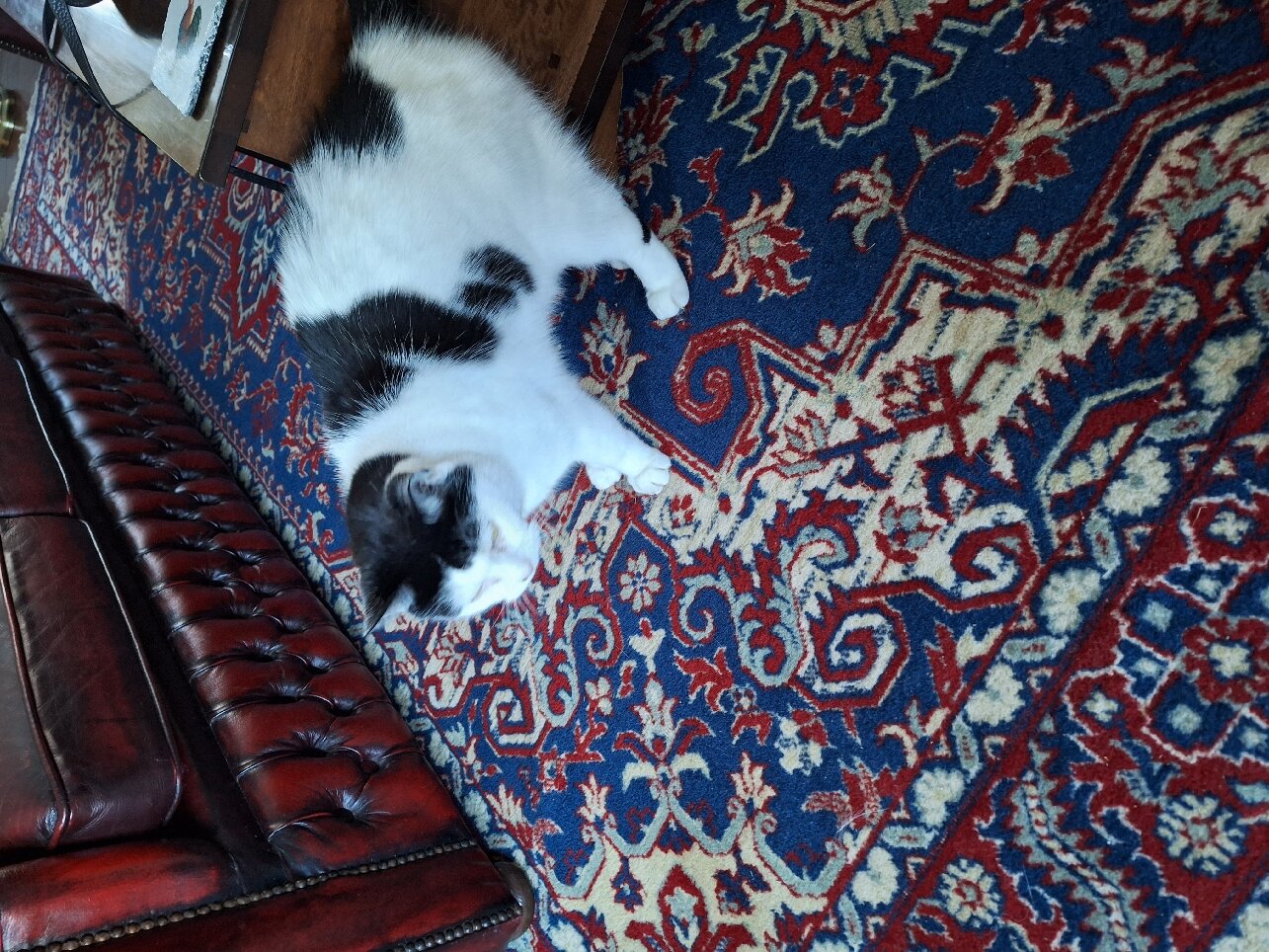 Cauldholm Bed and Breakfast-官方