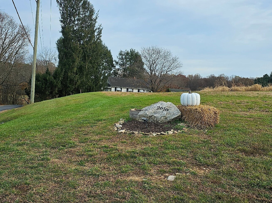 Joy in Hand Flower Farm-Forest Hill必去景点