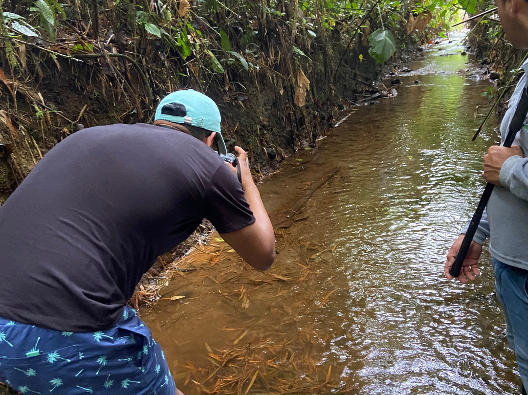 Kapari Natural Lodge & Spa主图