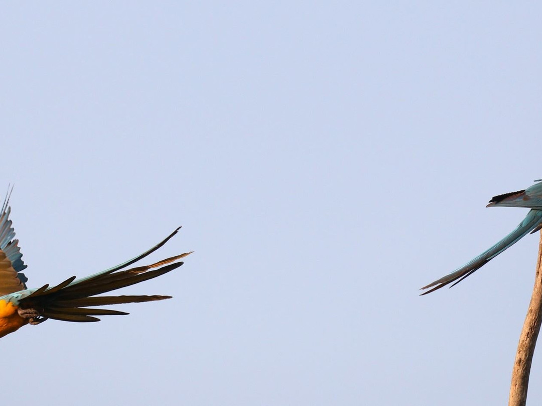 Barba Azul Nature Reserve-Trinidad必去景点