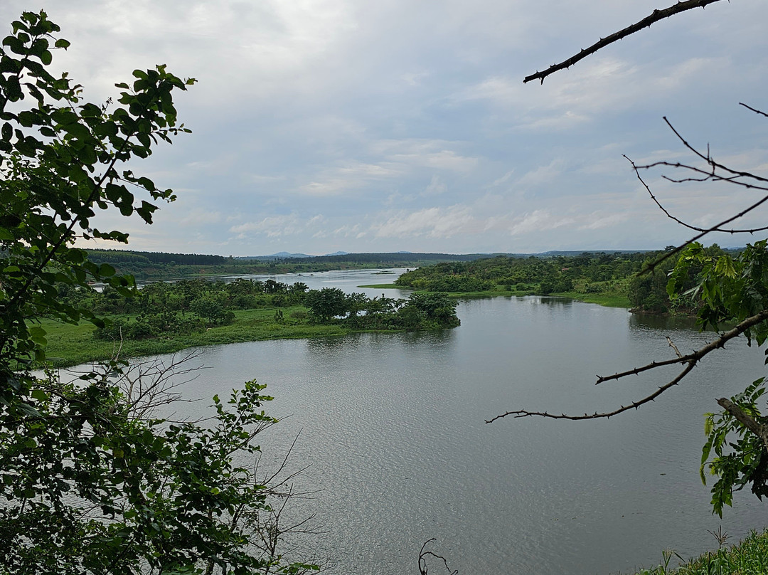 The River