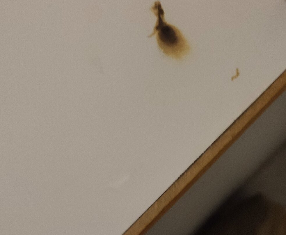 The Originals Access, Hotel Rennes Ouest