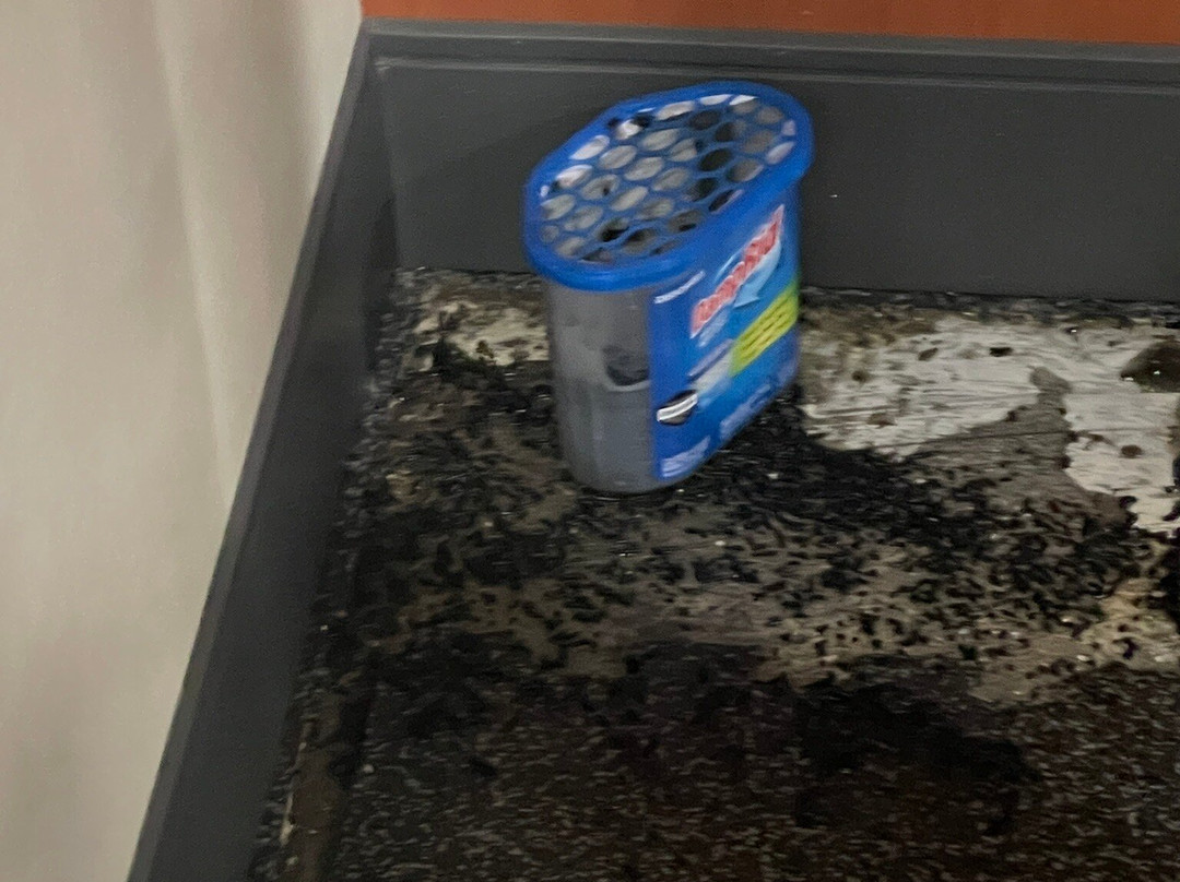 Hampton Inn & Suites Detroit/Sterling Heights主图