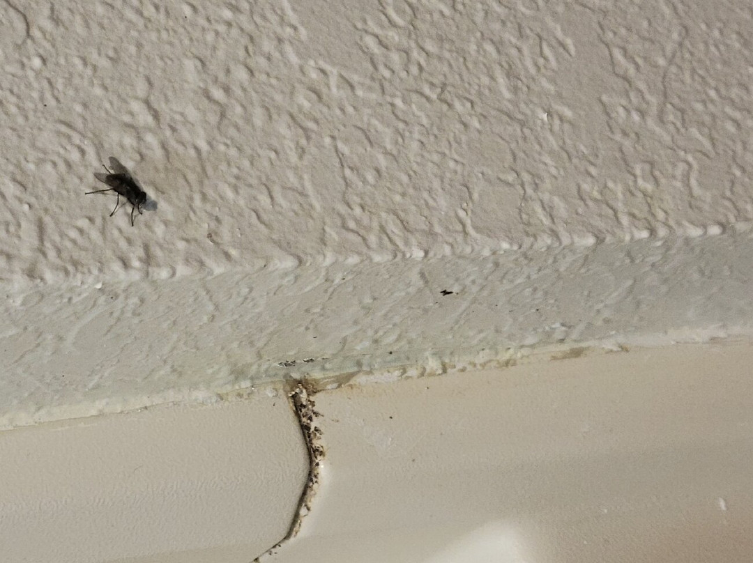 Econo Lodge Inn & Suites主图