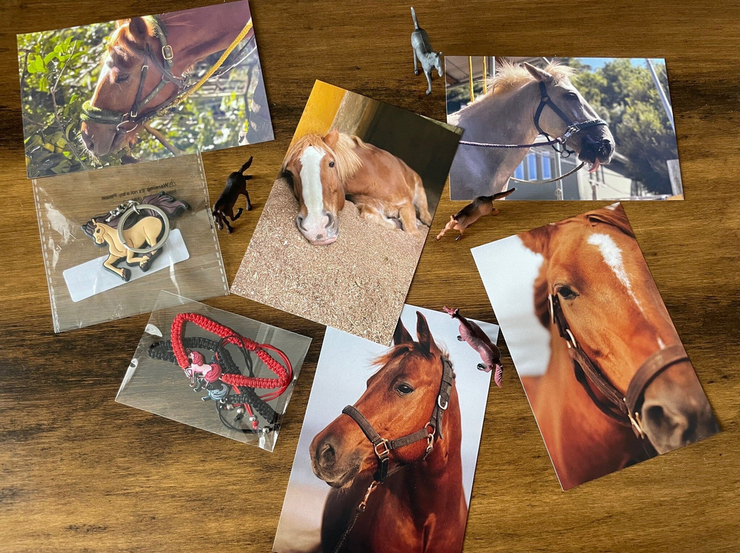 Horse Trekking Farm Miurakaigan-三浦市必去景点