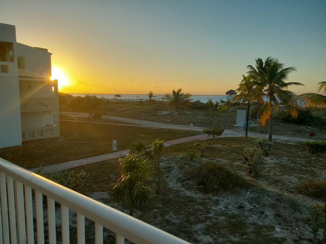 Starfish Cayo Largo主图