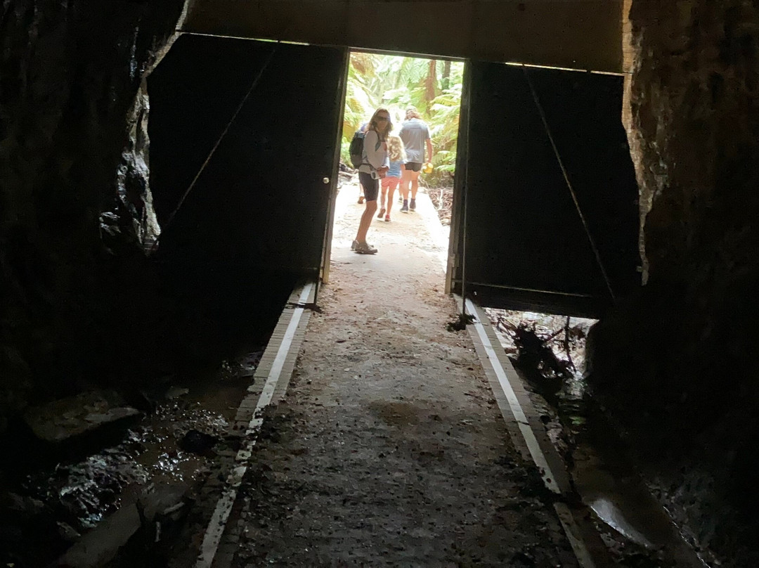 Glow Worm Tunnel-利特高必去景点