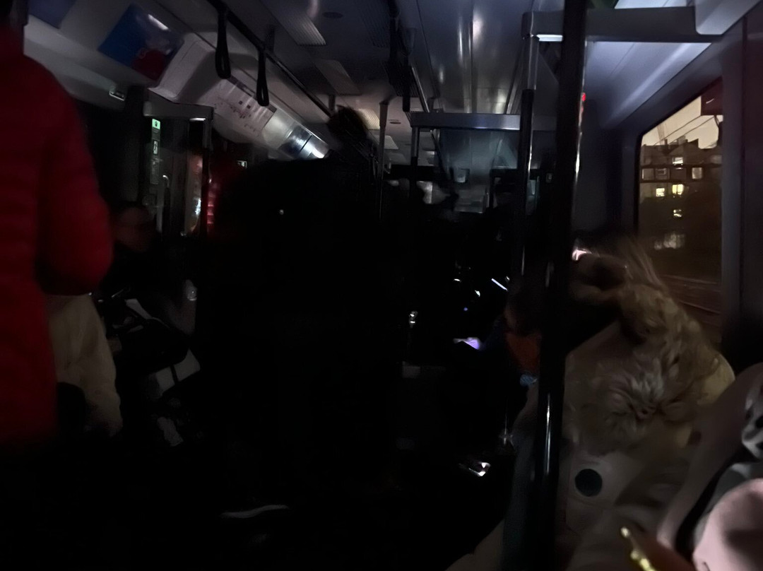 Elizabeth Line by TfL-伦敦必去景点