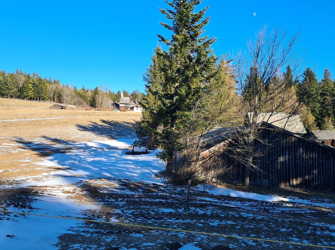 Naturpark Hohe Wand-Maiersdorf必去景点