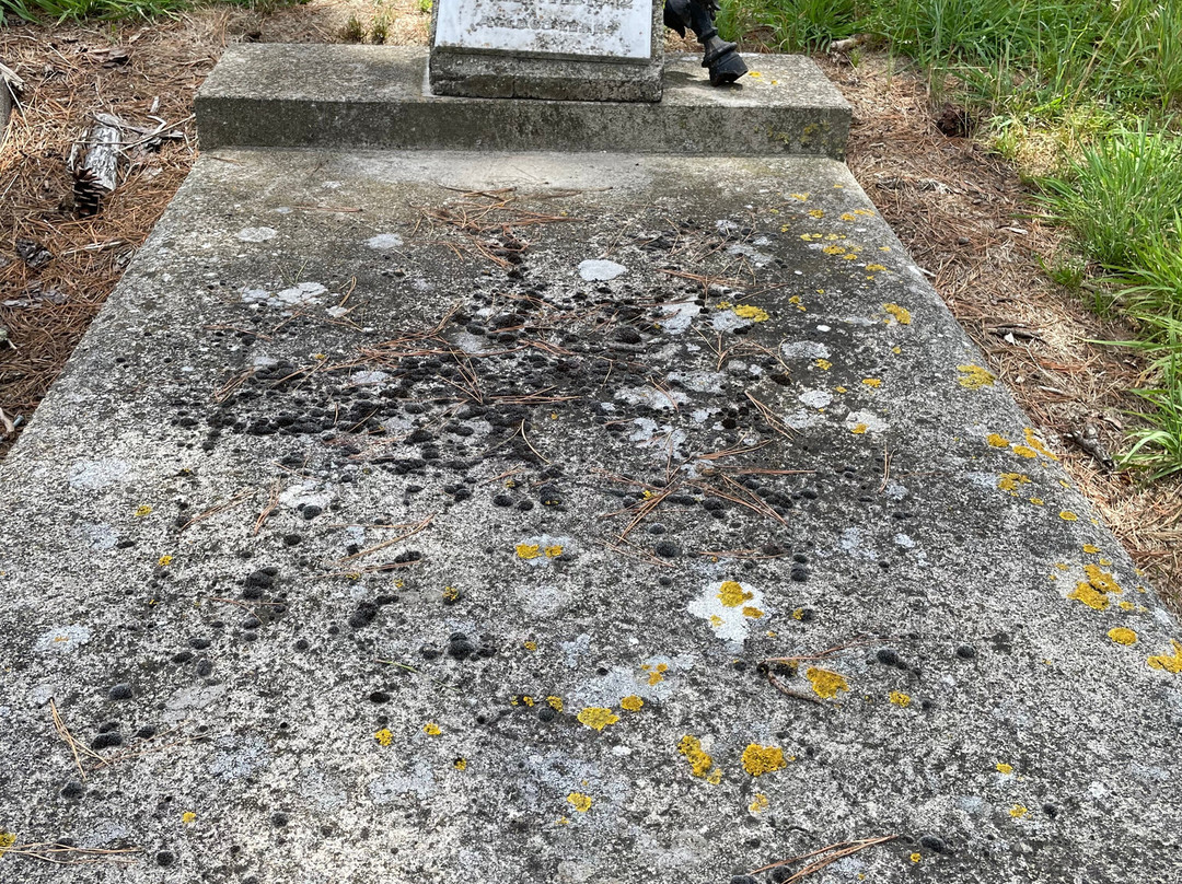 Learmonth Cemetery-Learmonth必去景点