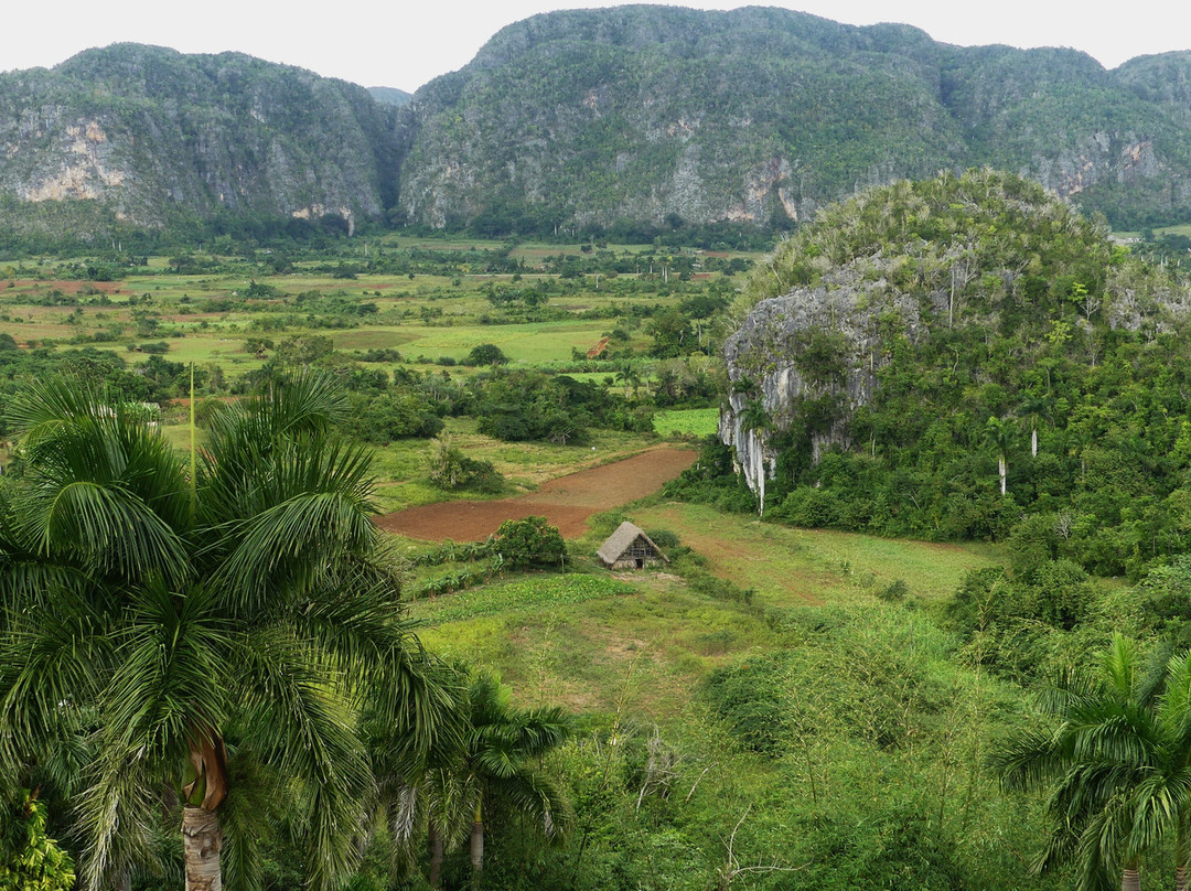 At Cuban Style Expert Vinales Guided Tours景点图片