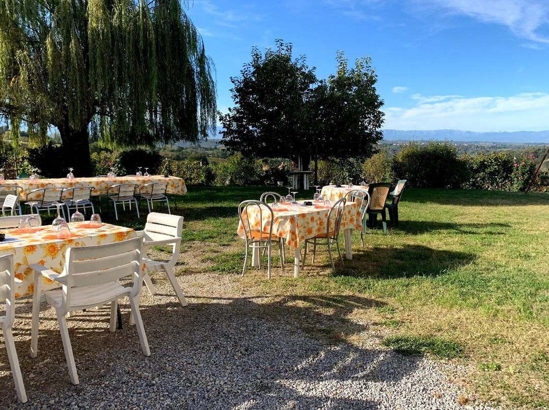 Maurilio Vaira Tenuta del Barone-Narzole必去景点