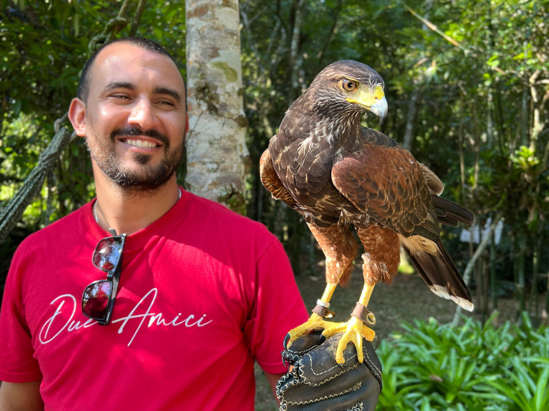 ArtFalcon Falcoaria-佩尼亚必去景点