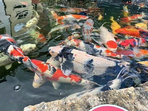 祖尔维恩斯泰吉酒店主图