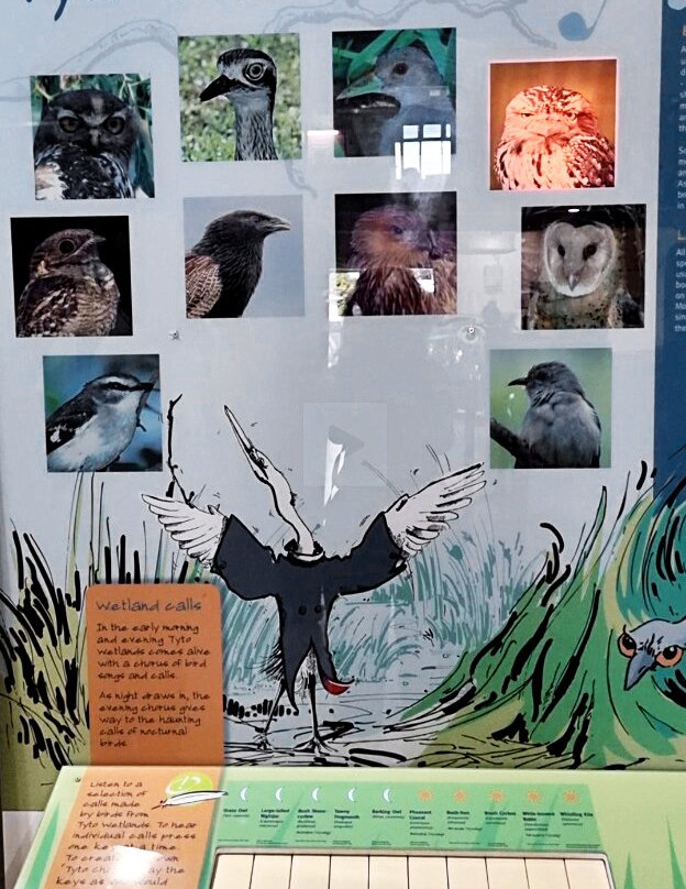 Hinchinbrook Visitor Information Centre-Ingham必去景点