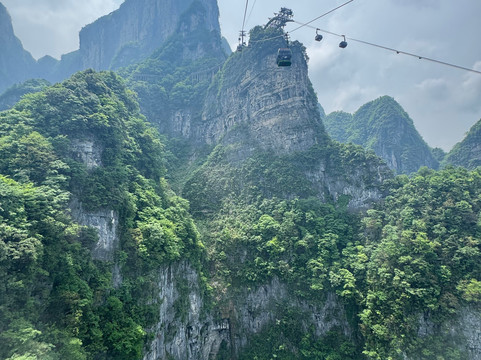 China Hot Tour-张家界市必去景点