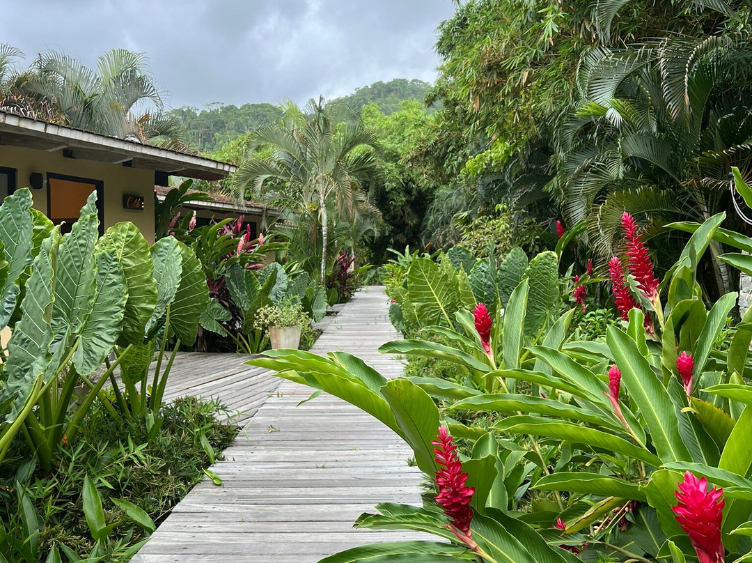 Hotel La Finca Buritaca主图