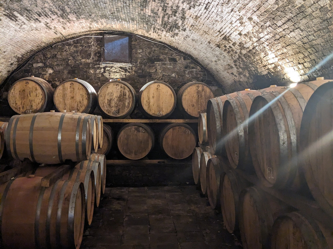 Casa Sola Chianti Winery-巴尔贝里诺瓦尔德尔萨必去景点