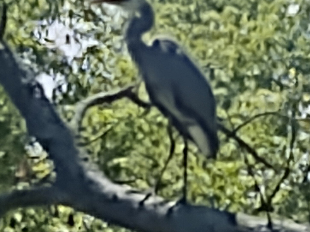 Camillus Erie Canal Park景点图片