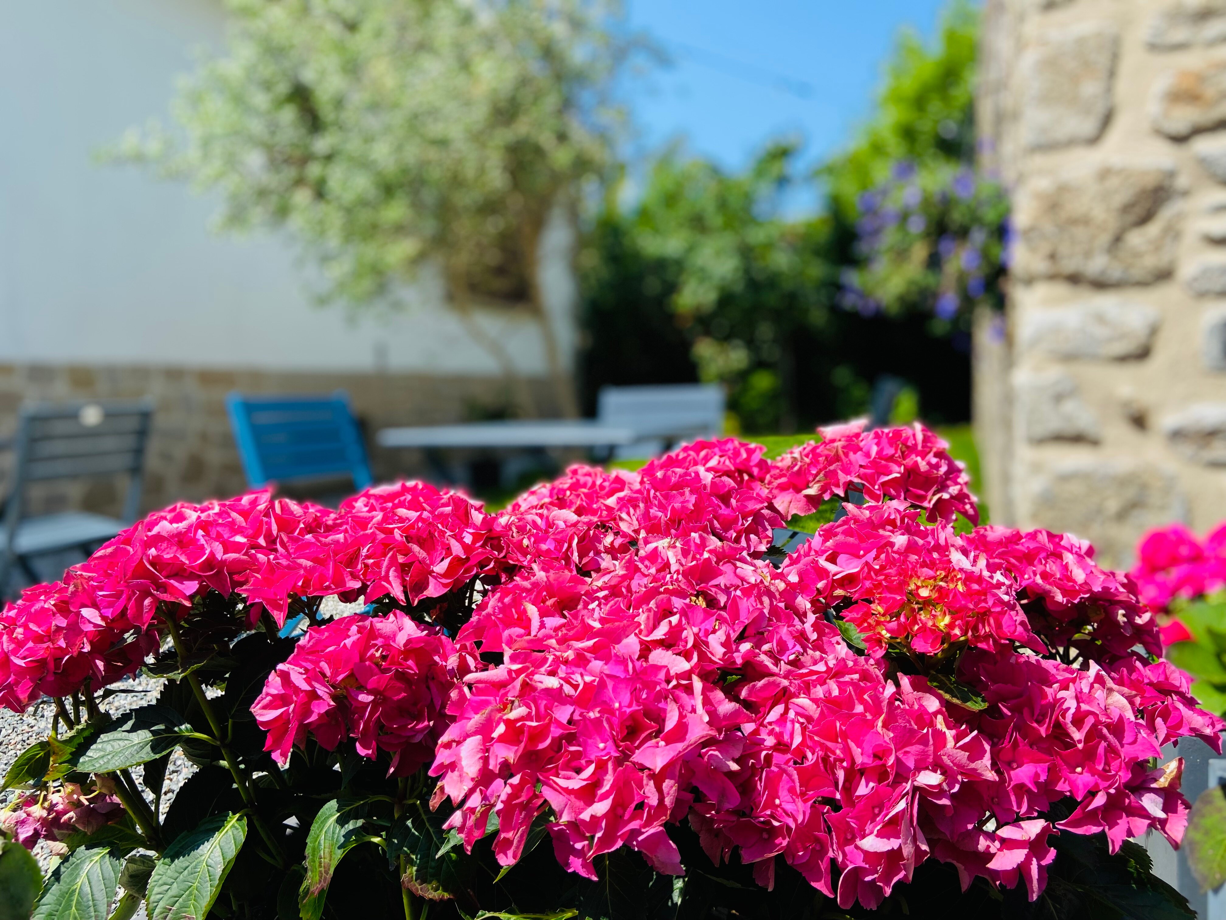 Hotel Saint-Michel Dinard-浴室