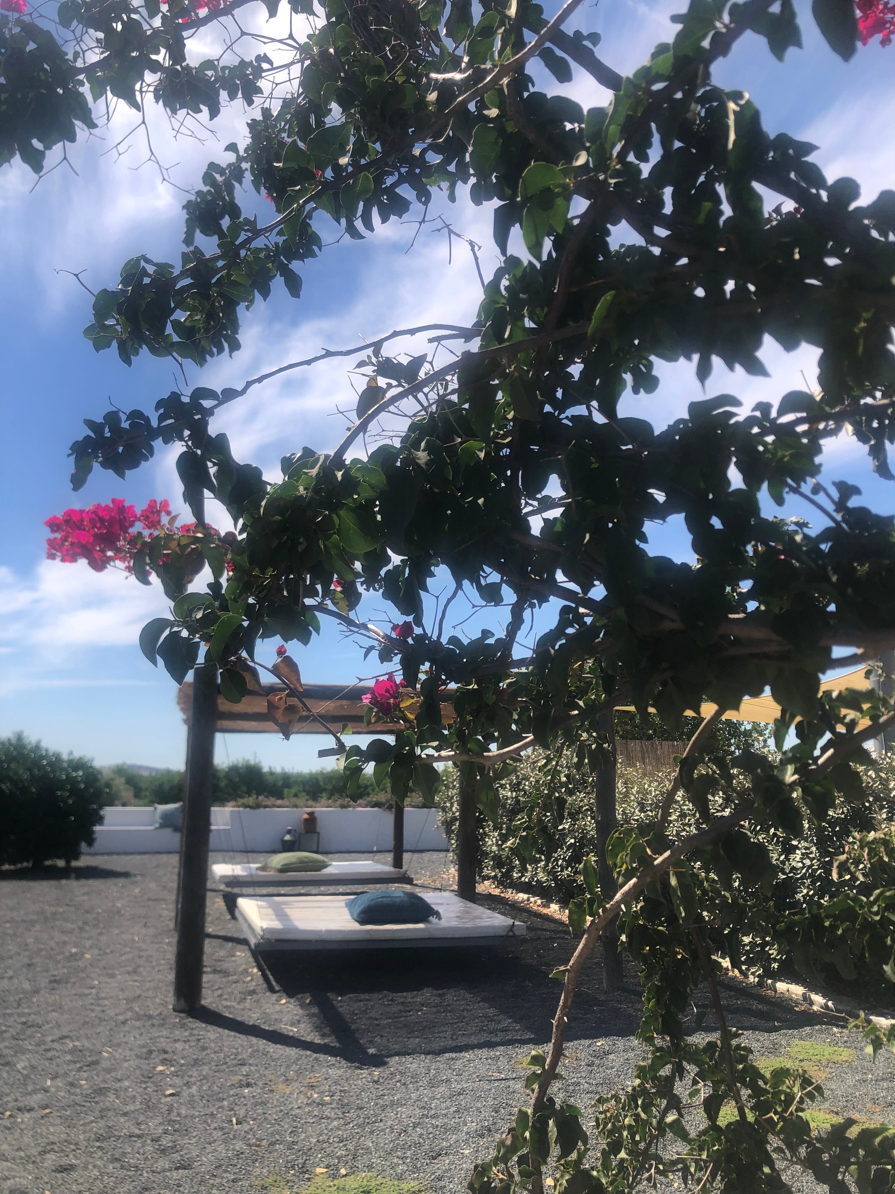 Sesmarias Turismo Rural & SPA-浴室