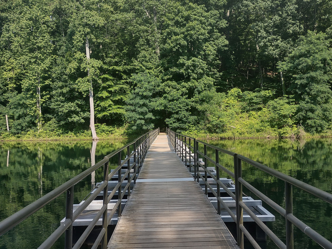 Ragged Mountain Natural Area-夏洛茨维尔必去景点