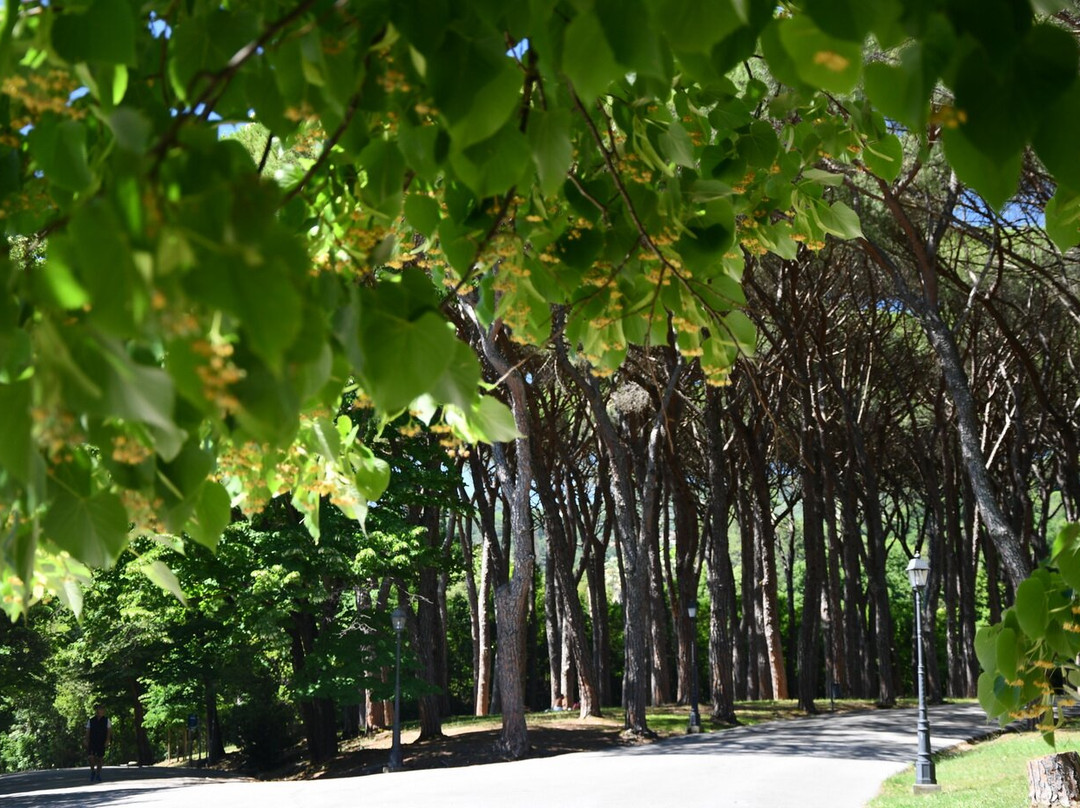 Parco delle Terme di Montecatini-蒙特卡蒂尼－泰尔梅必去景点