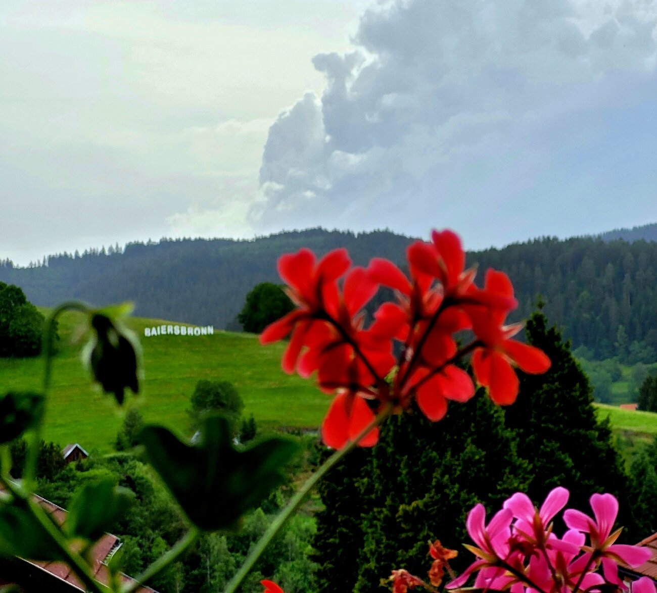 Hotel Gasthof Falken-官方