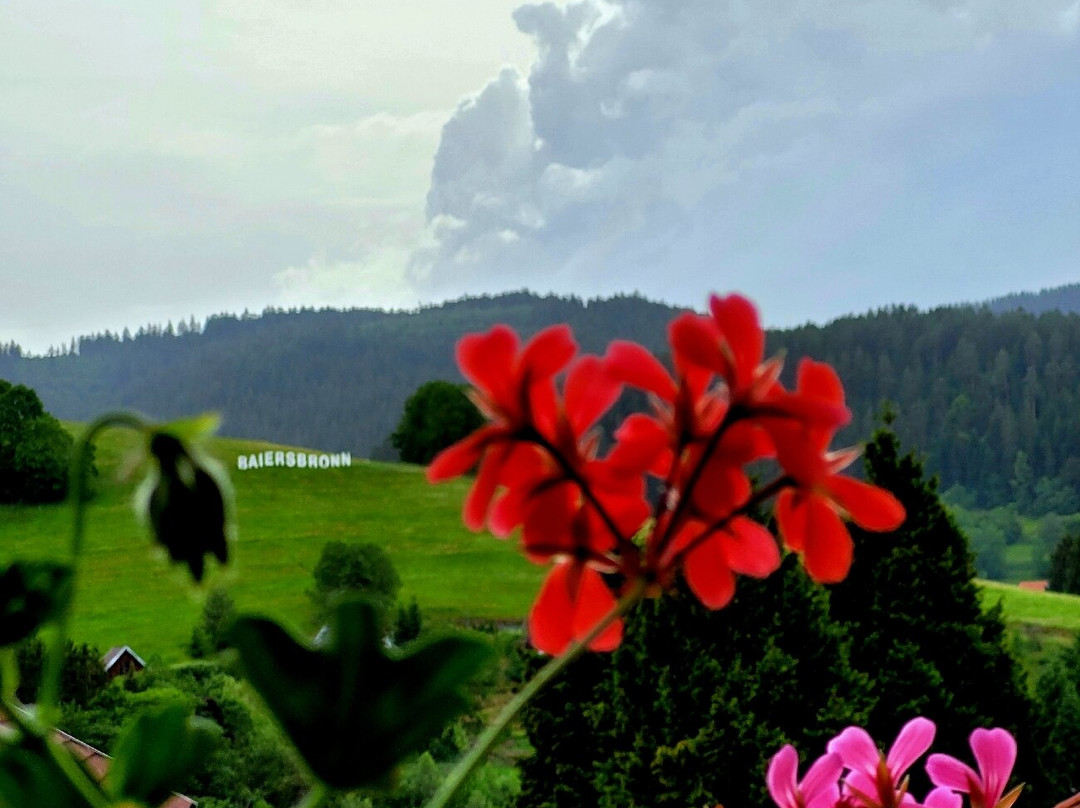 Hotel Gasthof Falken主图