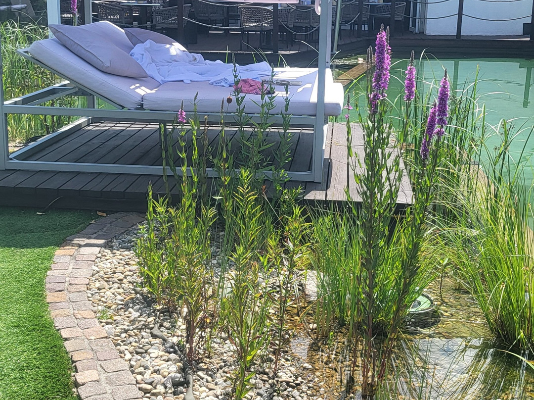 Lifestyle Resort zum Kurfürsten主图