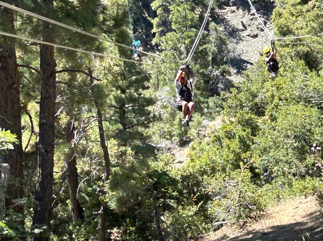 Ziplines at Pacific Crest-Wrightwood必去景点