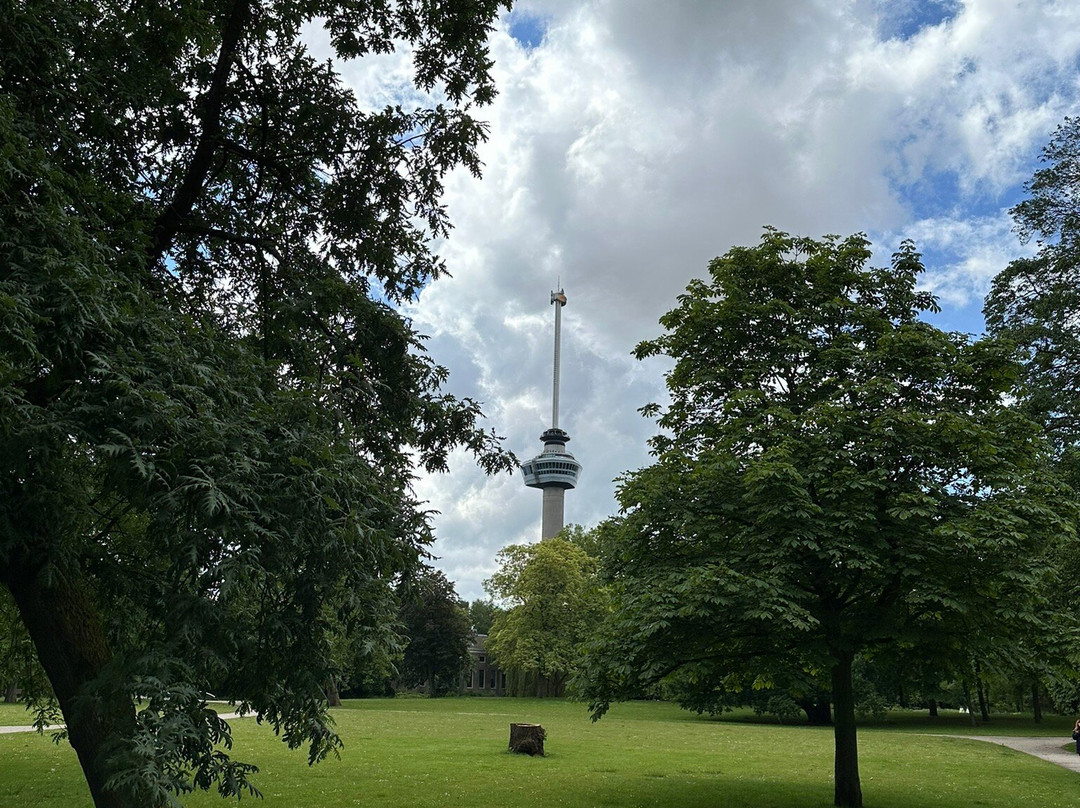 Het Park-鹿特丹必去景点