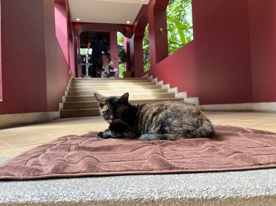 苏阔水疗度假酒店主图