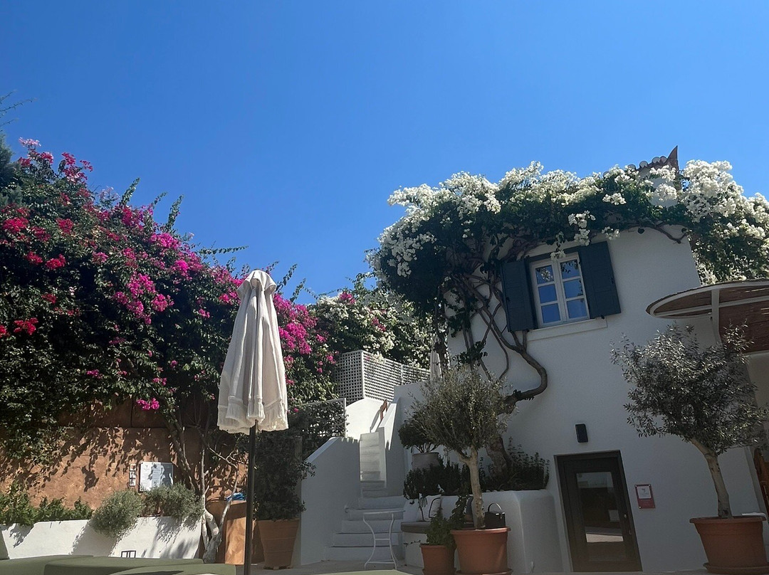 Yayaki Spetses主图