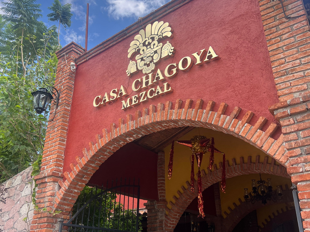 Oaxacool tours & experiences-瓦哈卡必去景点