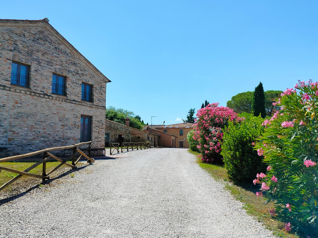 Fattoria Pieve A Salti主图