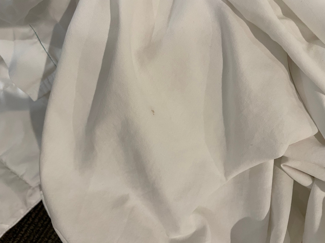 卡拉巴萨斯美好夜间旅馆主图