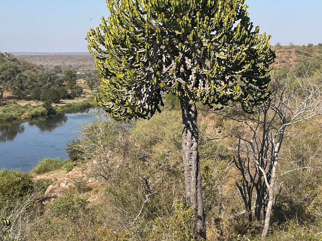 Orpen Dam Lookout Point-司库库札必去景点