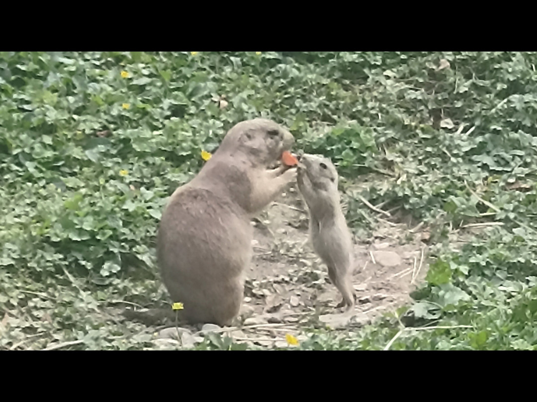 Aran Park景点图片